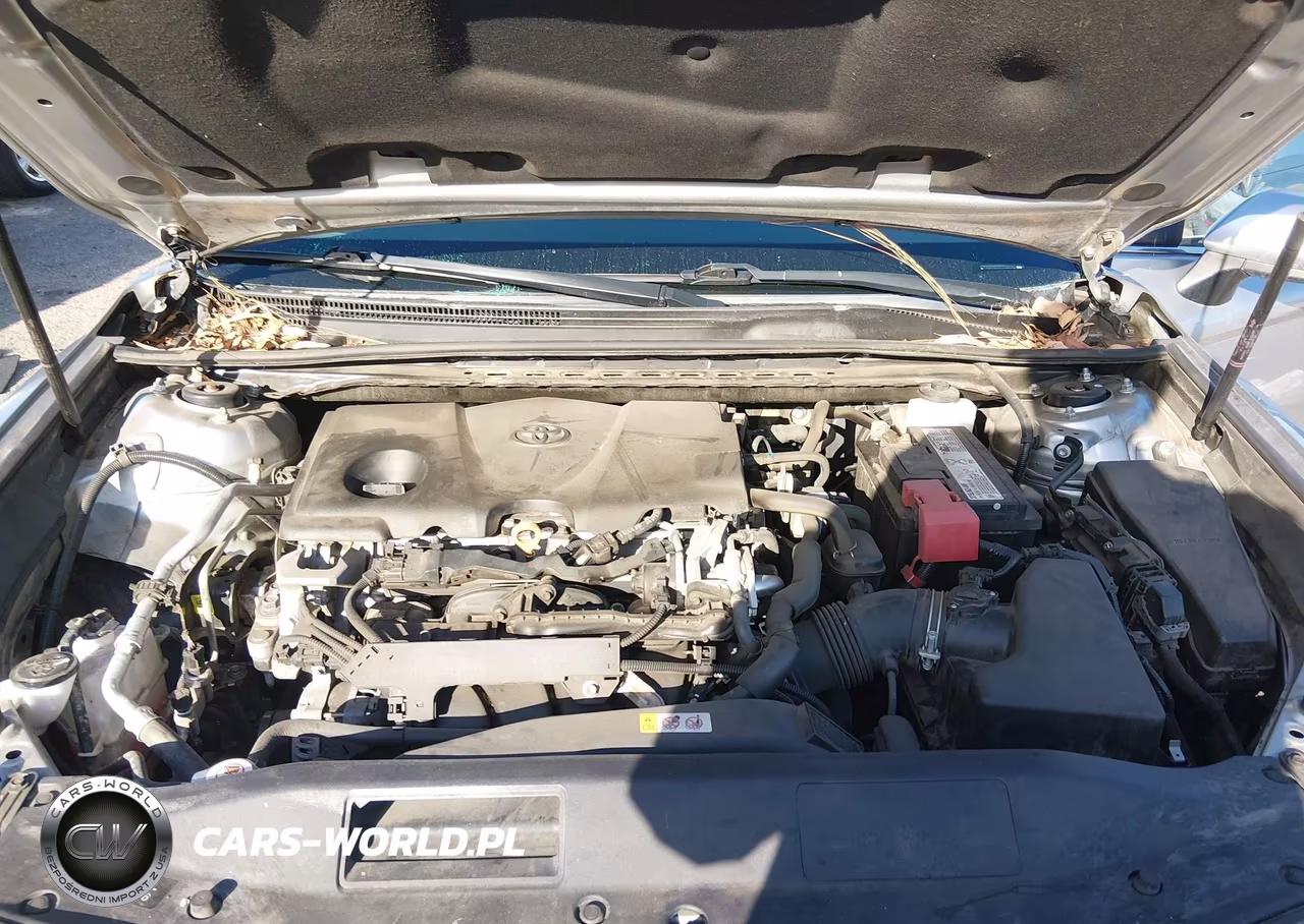 2019 Toyota Camry Le VIN:4T1B11HKXKU803682 - 10