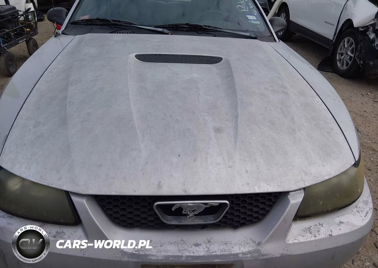 2002 Ford Mustang VIN:1FAFP40472F165274 - 10