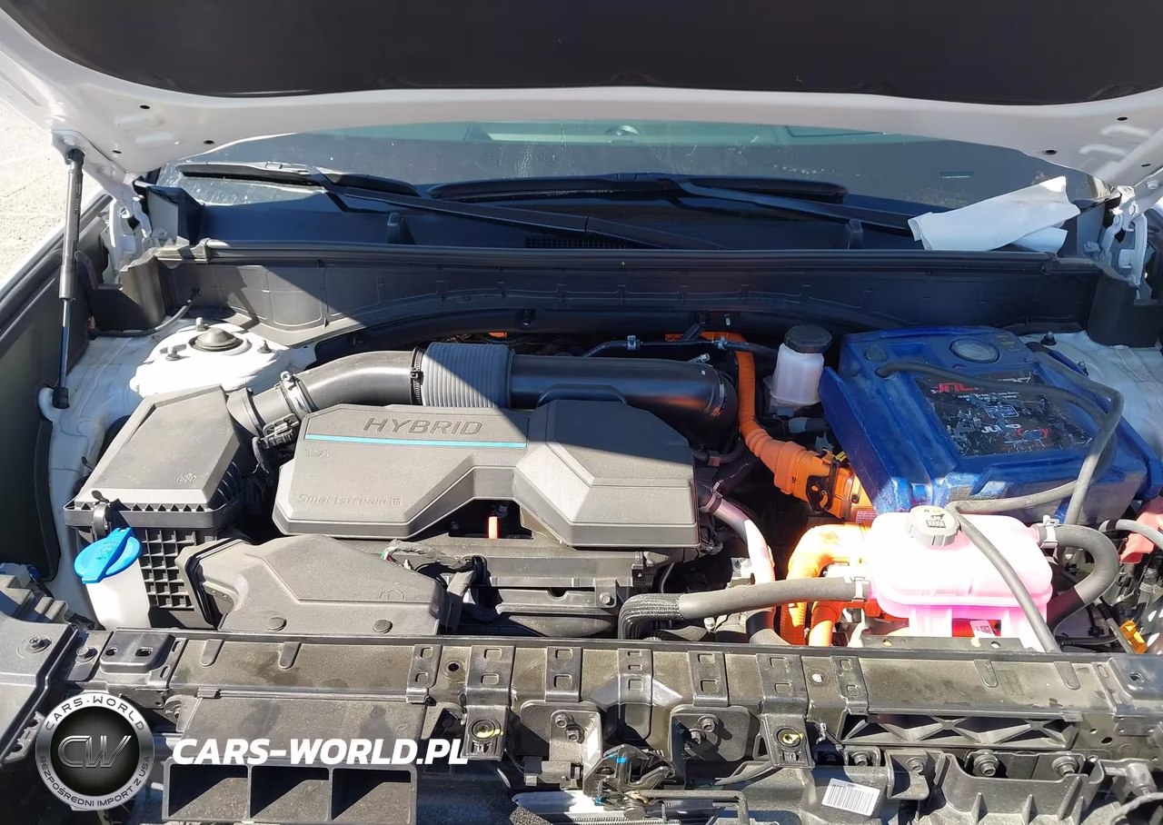 2024 Hyundai Santa Fe Hybrid Calligraphy VIN:5NMP5DG14RH016950 - 10