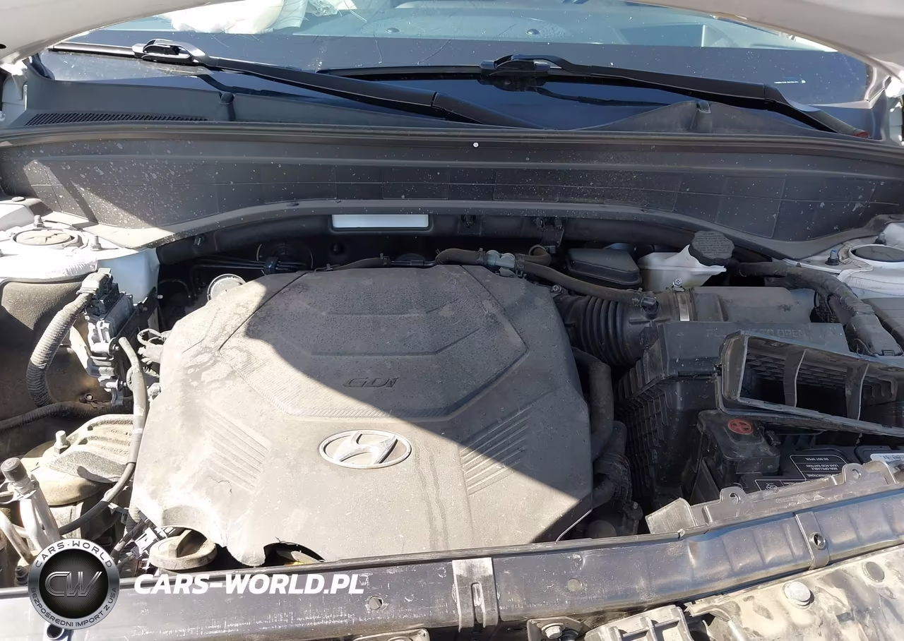 2022 Hyundai Palisade Calligraphy VIN:KM8R7DHE1NU386255 - 10