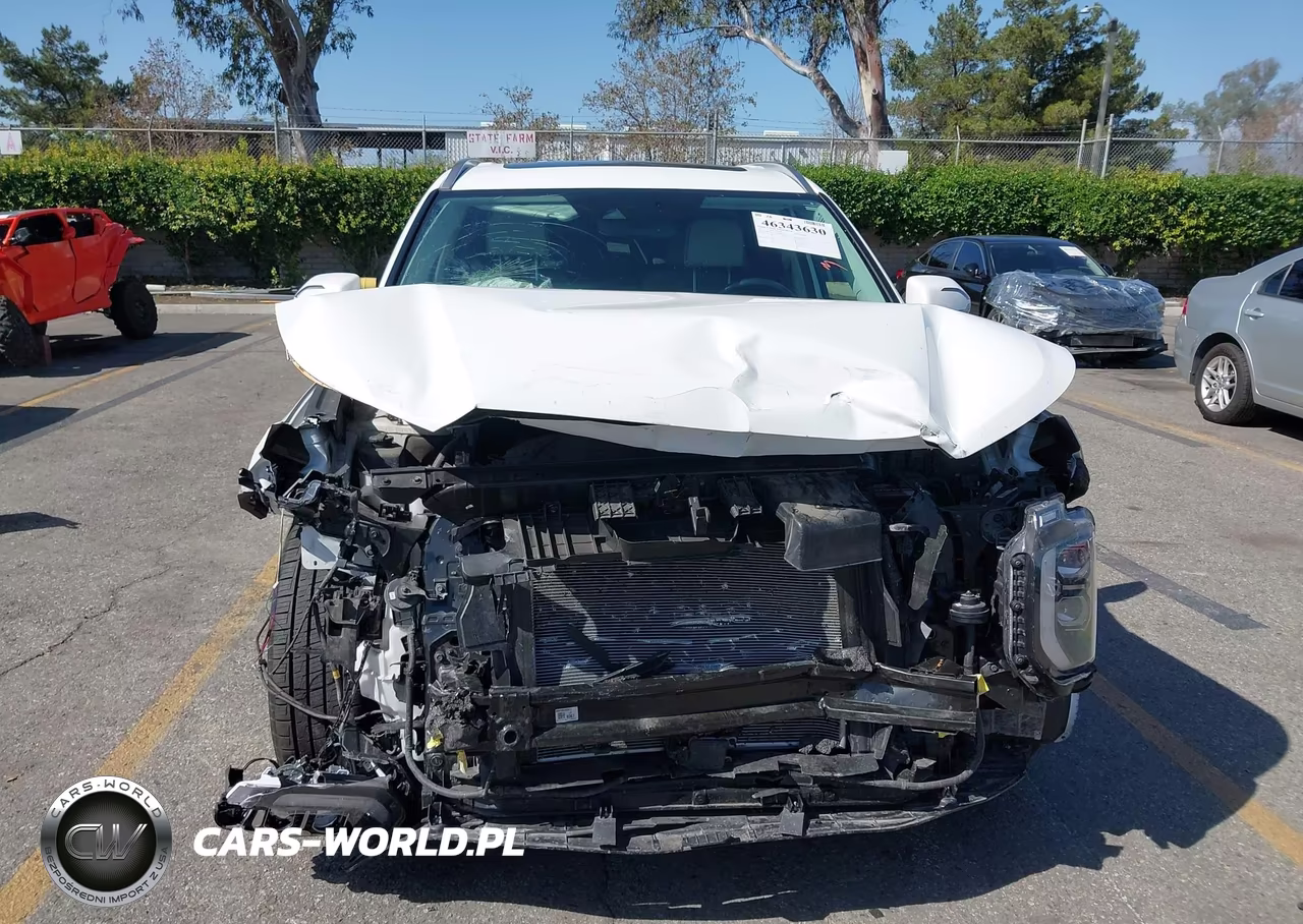 2022 Hyundai Palisade Calligraphy VIN:KM8R7DHE1NU386255 - 17