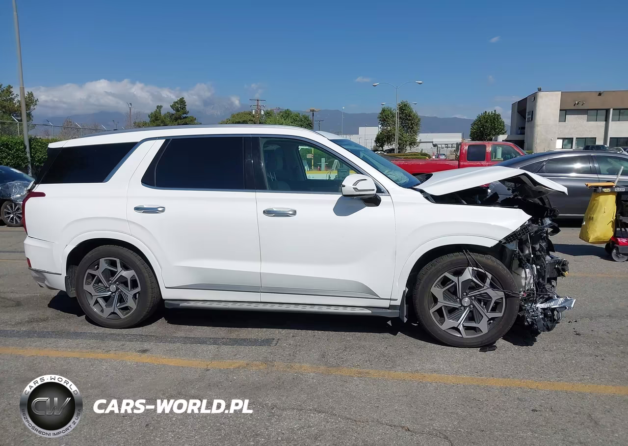 2022 Hyundai Palisade Calligraphy VIN:KM8R7DHE1NU386255 - 18