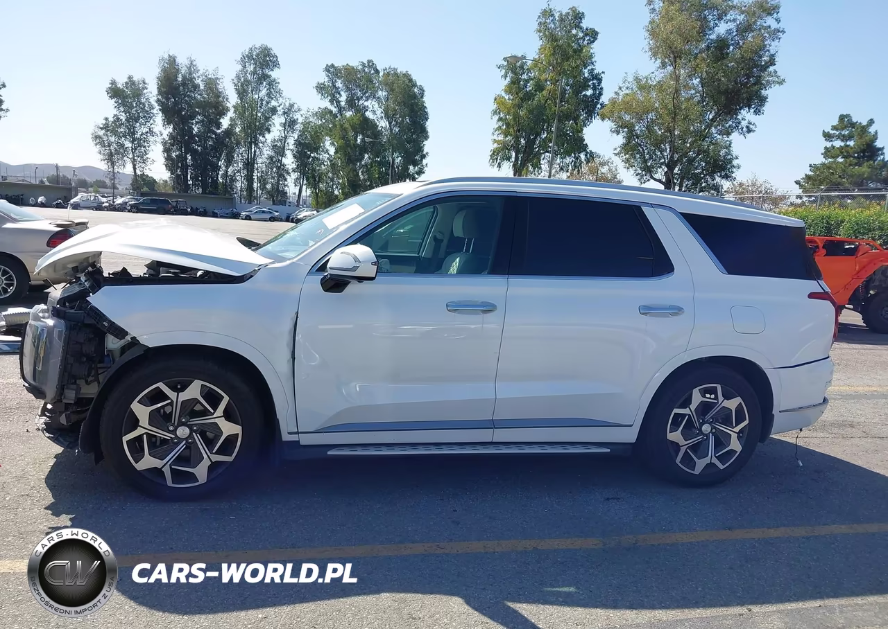 2022 Hyundai Palisade Calligraphy VIN:KM8R7DHE1NU386255 - 19