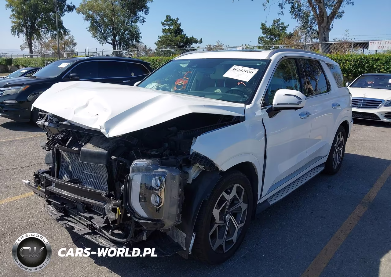 2022 Hyundai Palisade Calligraphy VIN:KM8R7DHE1NU386255 - 2