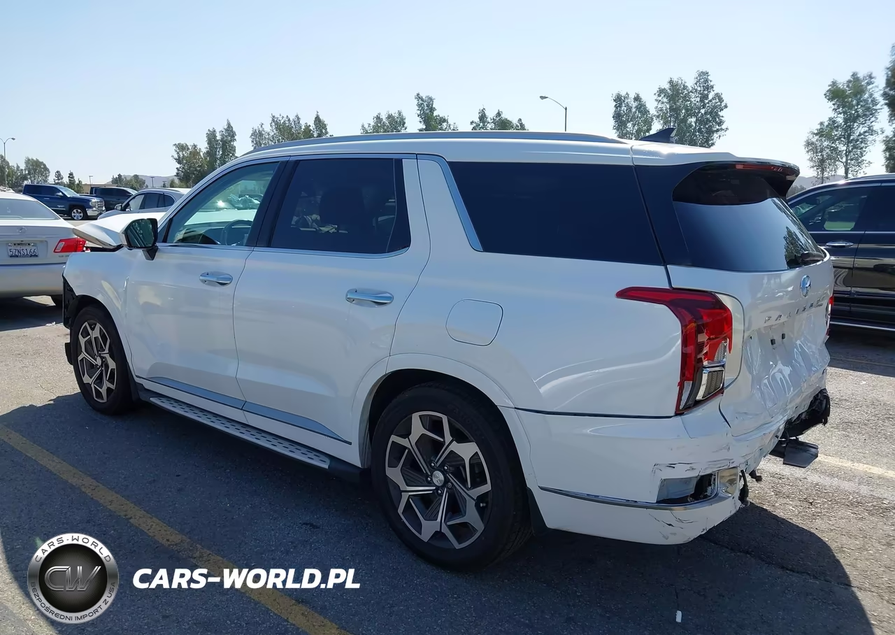 2022 Hyundai Palisade Calligraphy VIN:KM8R7DHE1NU386255 - 3