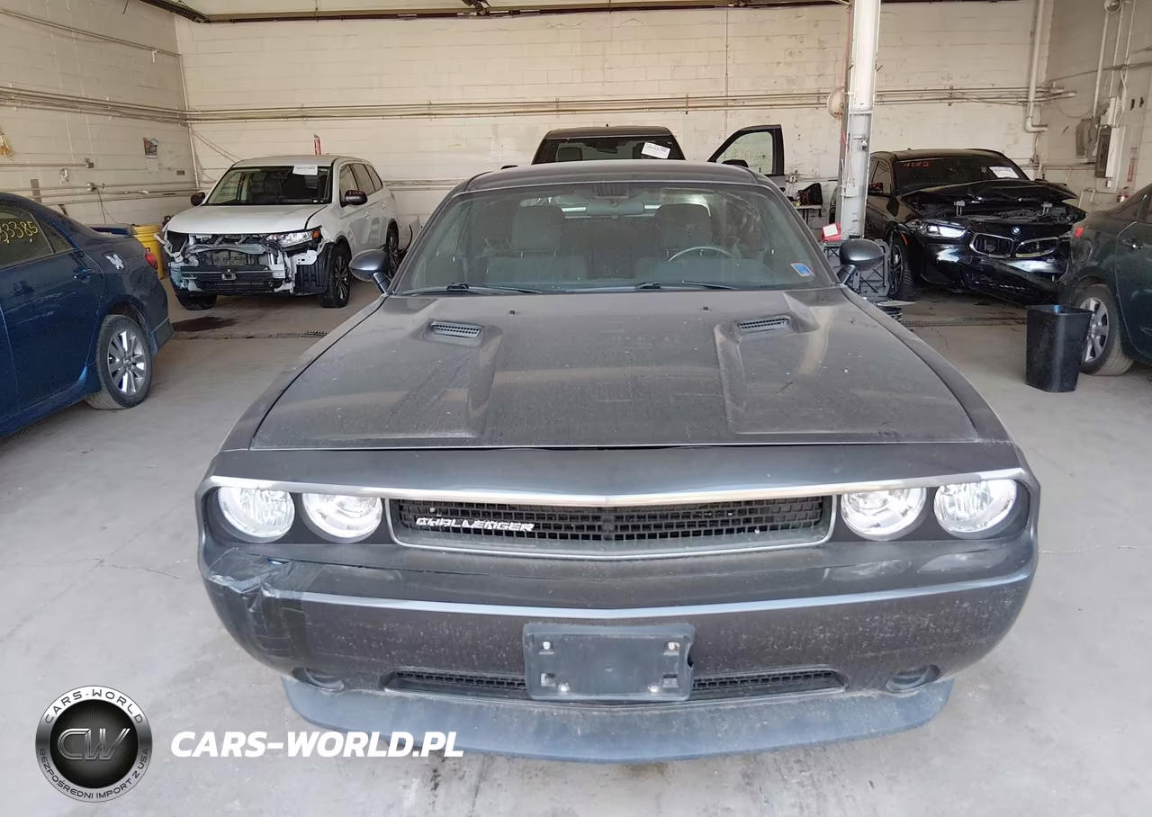 2013 Dodge Challenger Sxt VIN:2C3CDYAG8DH670039 - 12