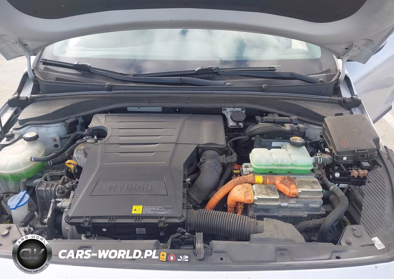2018 Hyundai Ioniq Hybrid Limited VIN:KMHC85LCXJU101982 - 10