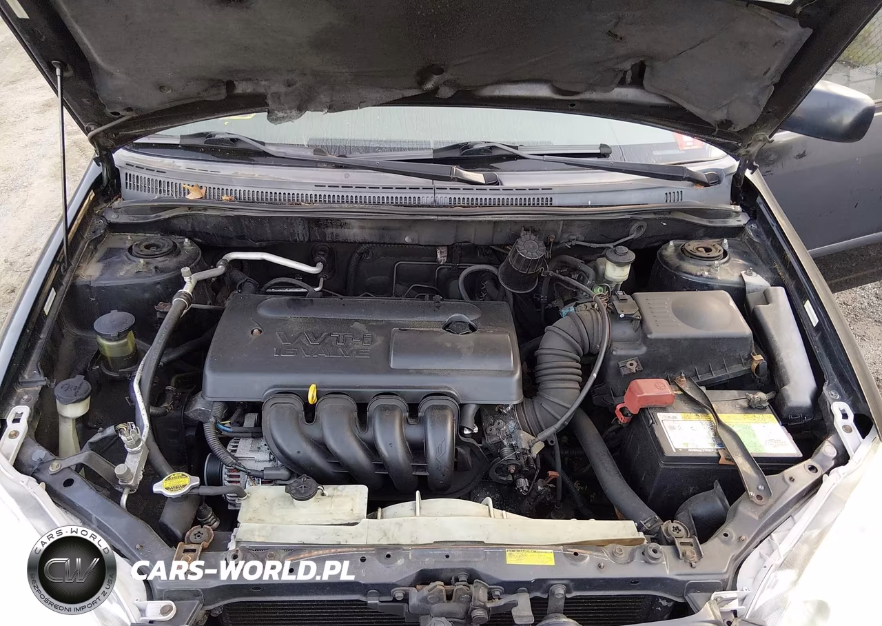 2003 Toyota Corolla Ce VIN:JTDBR32E332002763 - 10
