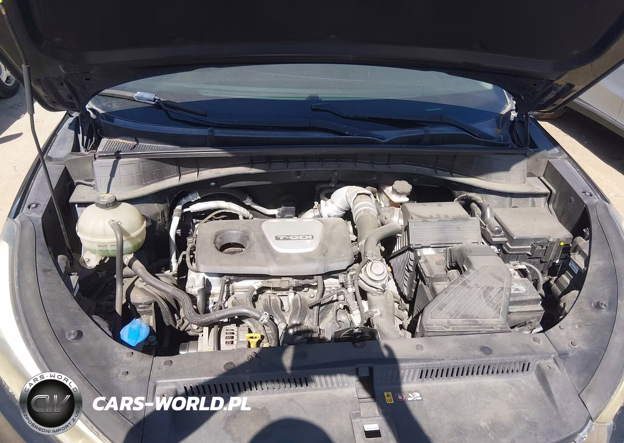 2016 Hyundai Tucson Limited VIN:KM8J3CA2XGU057236 - 10