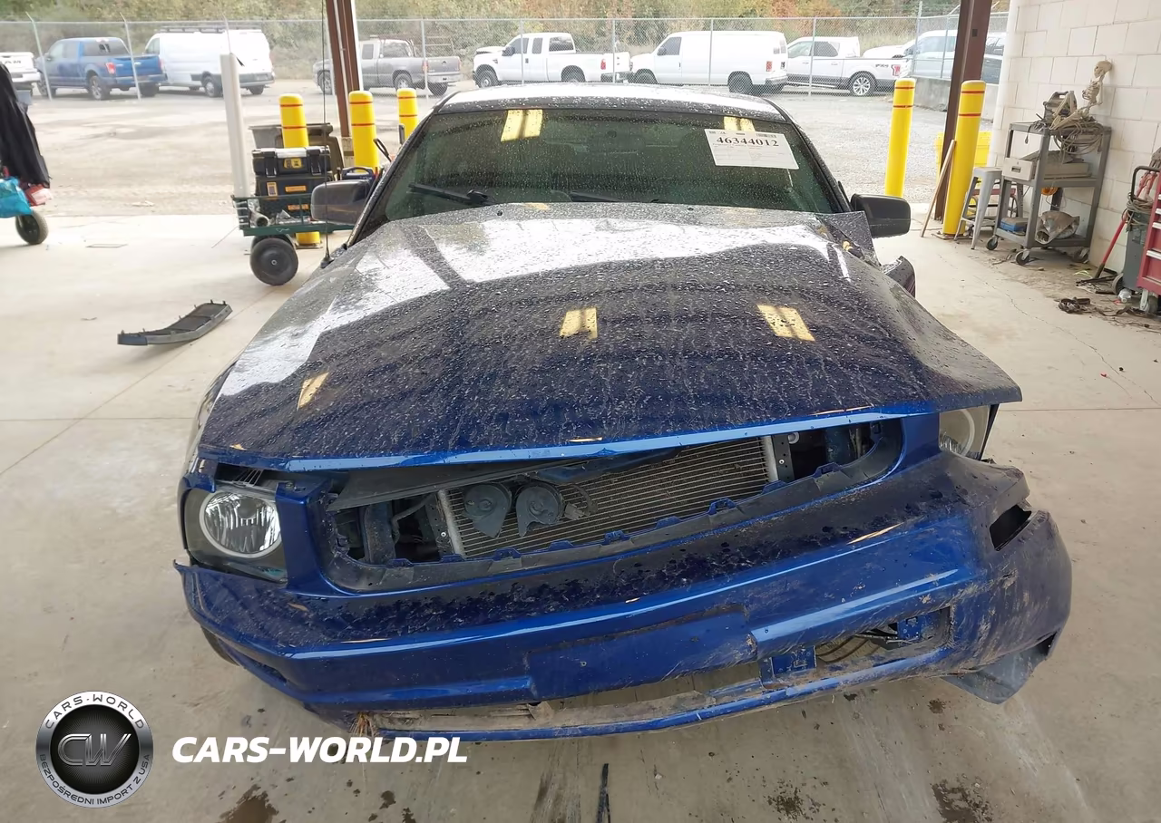 2007 Ford Mustang V6 Deluxe-V6 Premium VIN:1ZVFT80N275212131 - 12