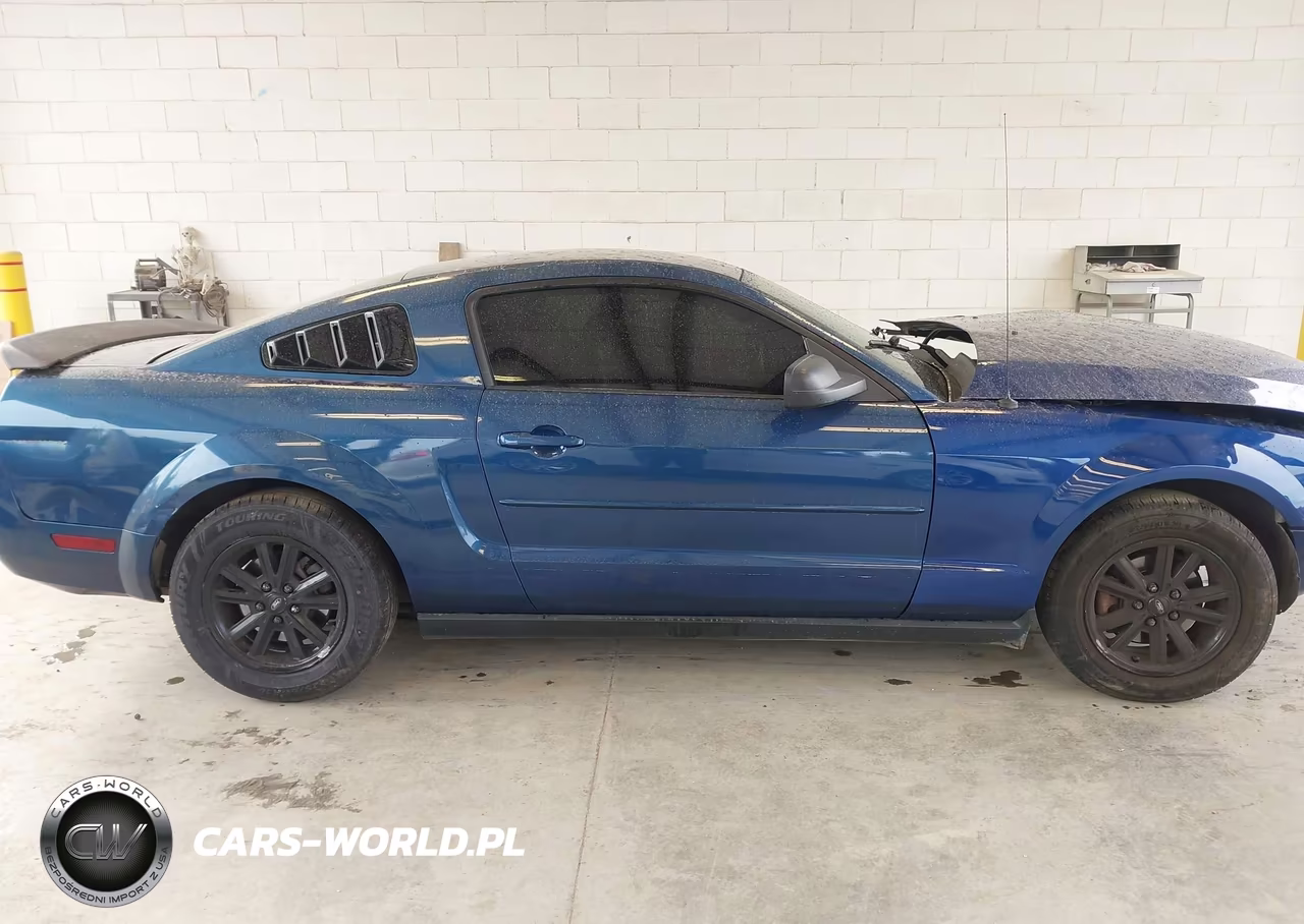 2007 Ford Mustang V6 Deluxe-V6 Premium VIN:1ZVFT80N275212131 - 13