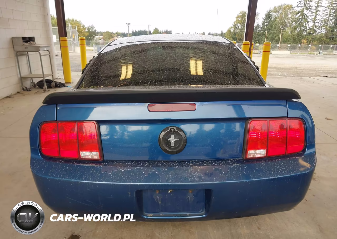 2007 Ford Mustang V6 Deluxe-V6 Premium VIN:1ZVFT80N275212131 - 16