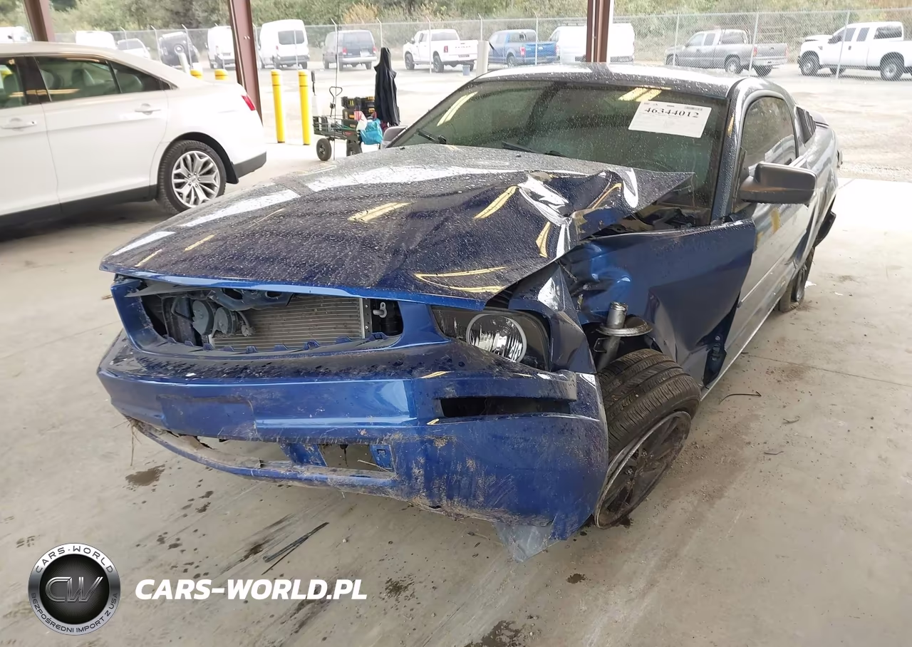 2007 Ford Mustang V6 Deluxe-V6 Premium VIN:1ZVFT80N275212131 - 6