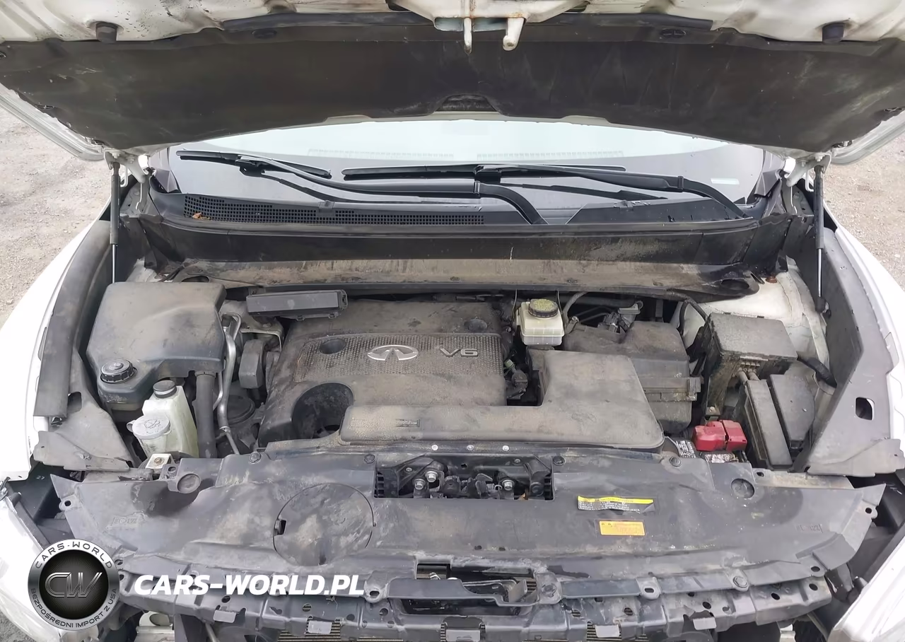 2014 Infiniti Qx60 VIN:5N1AL0MM1EC515180 - 10