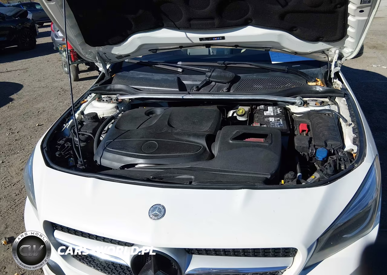 2014 Mercedes-Benz Cla 250 VIN:WDDSJ4EB7EN068450 - 10
