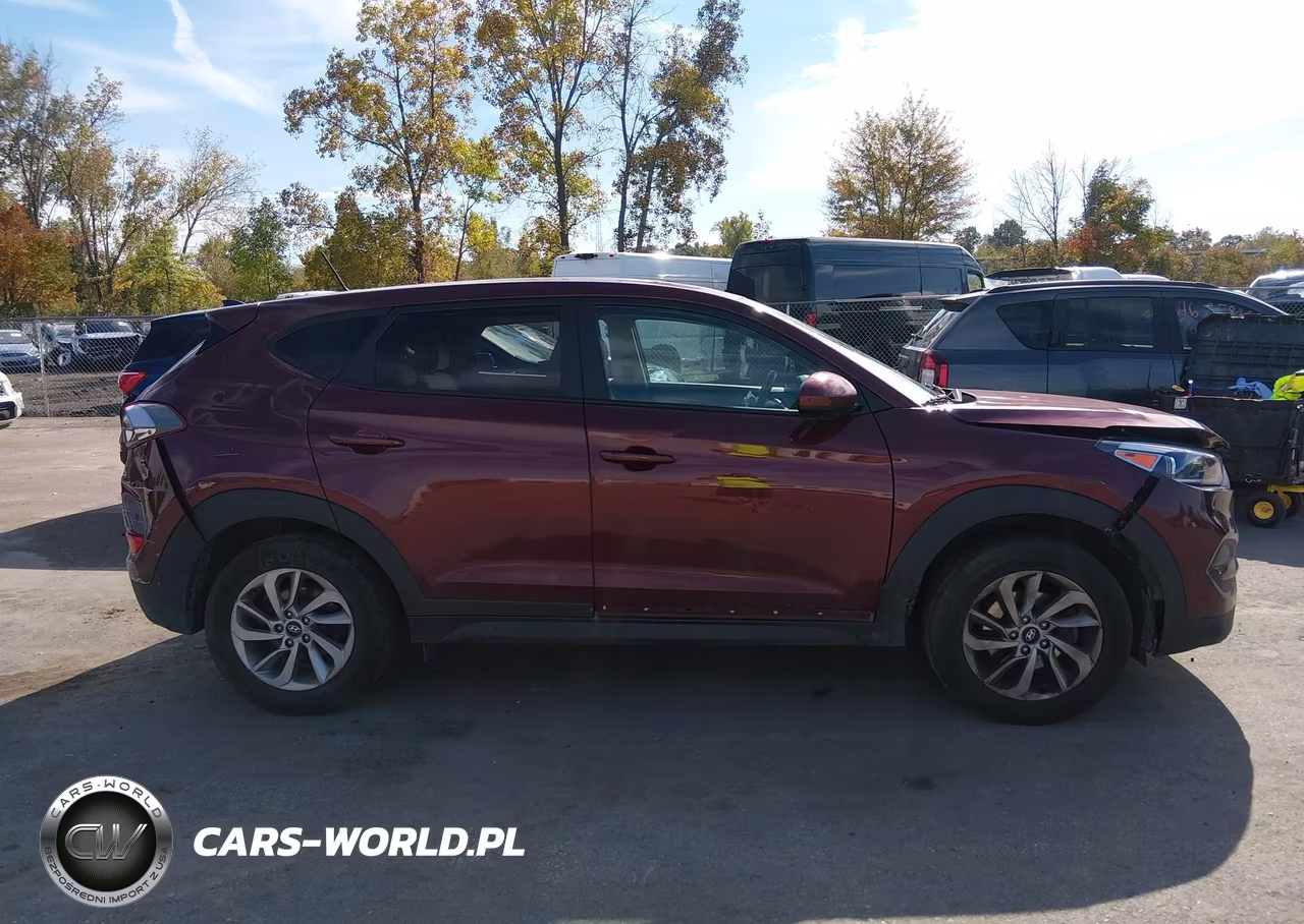 2017 Hyundai Tucson Se VIN:KM8J23A48HU262821 - 13