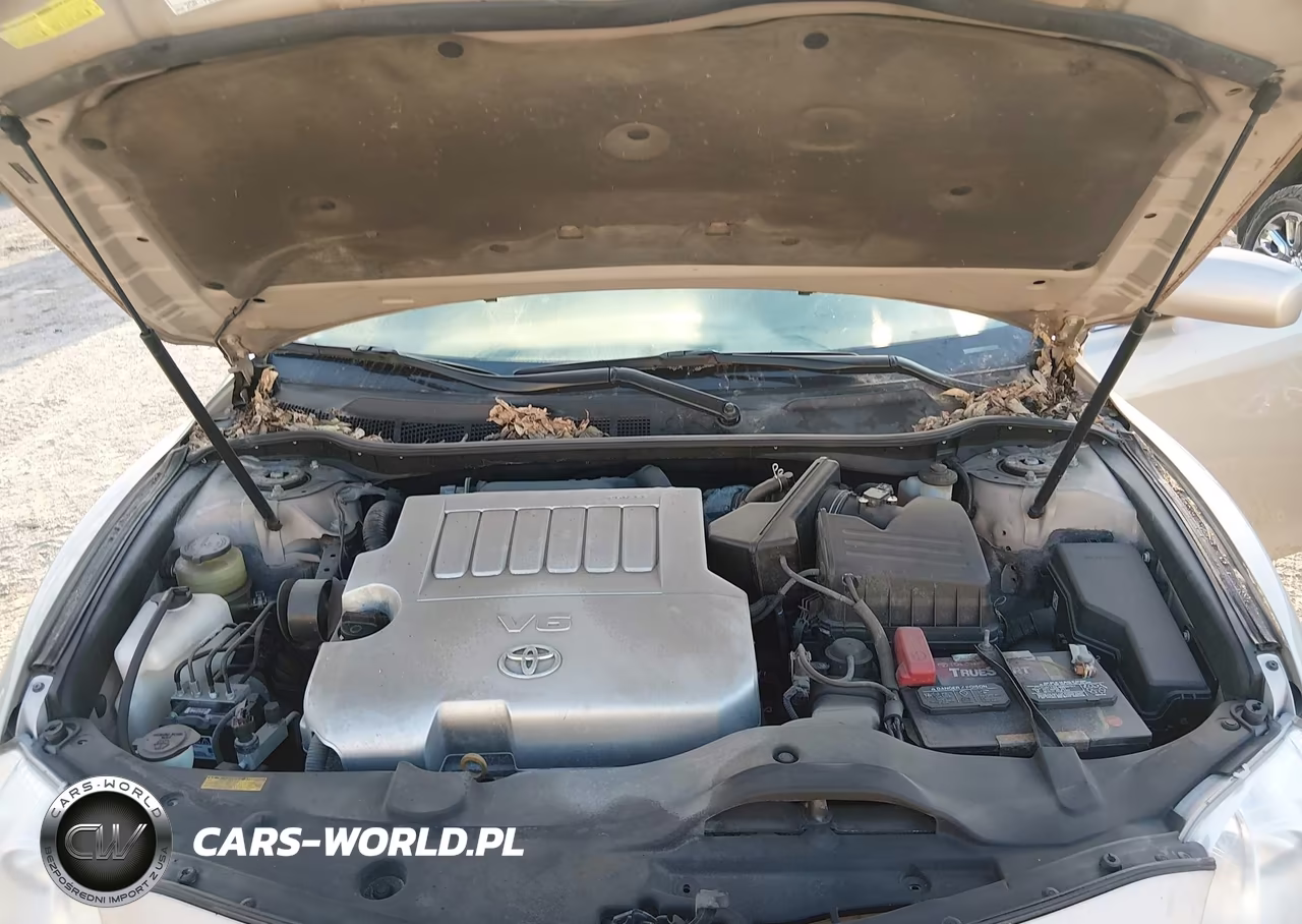 2007 Toyota Camry Xle V6 VIN:4T1BK46K27U019151 - 10
