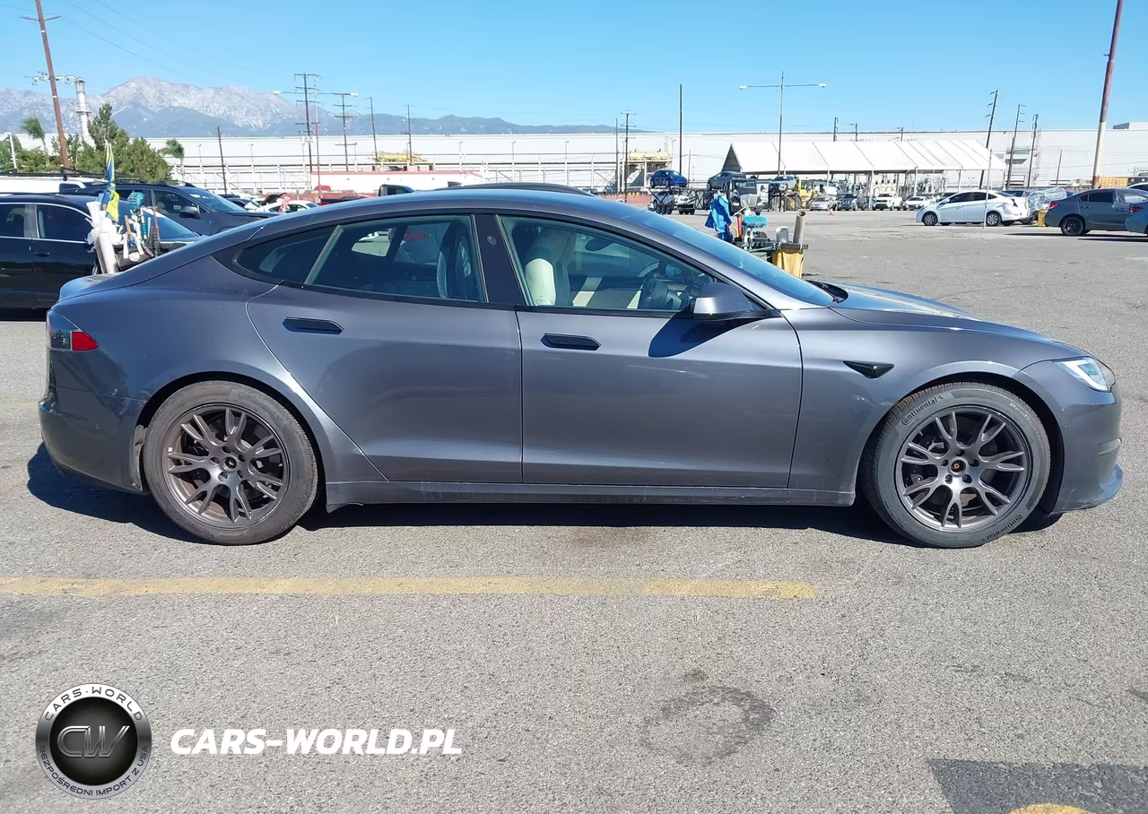 2021 Tesla Model S Long Range Dual Motor All-Wheel Drive VIN:5YJSA1E55MF428928 - 13