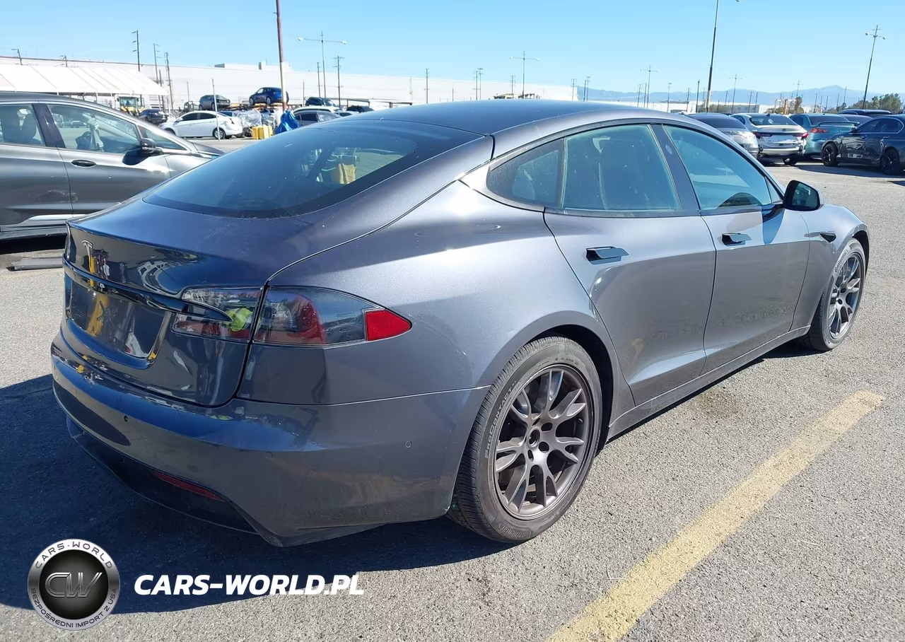 2021 Tesla Model S Long Range Dual Motor All-Wheel Drive VIN:5YJSA1E55MF428928 - 4