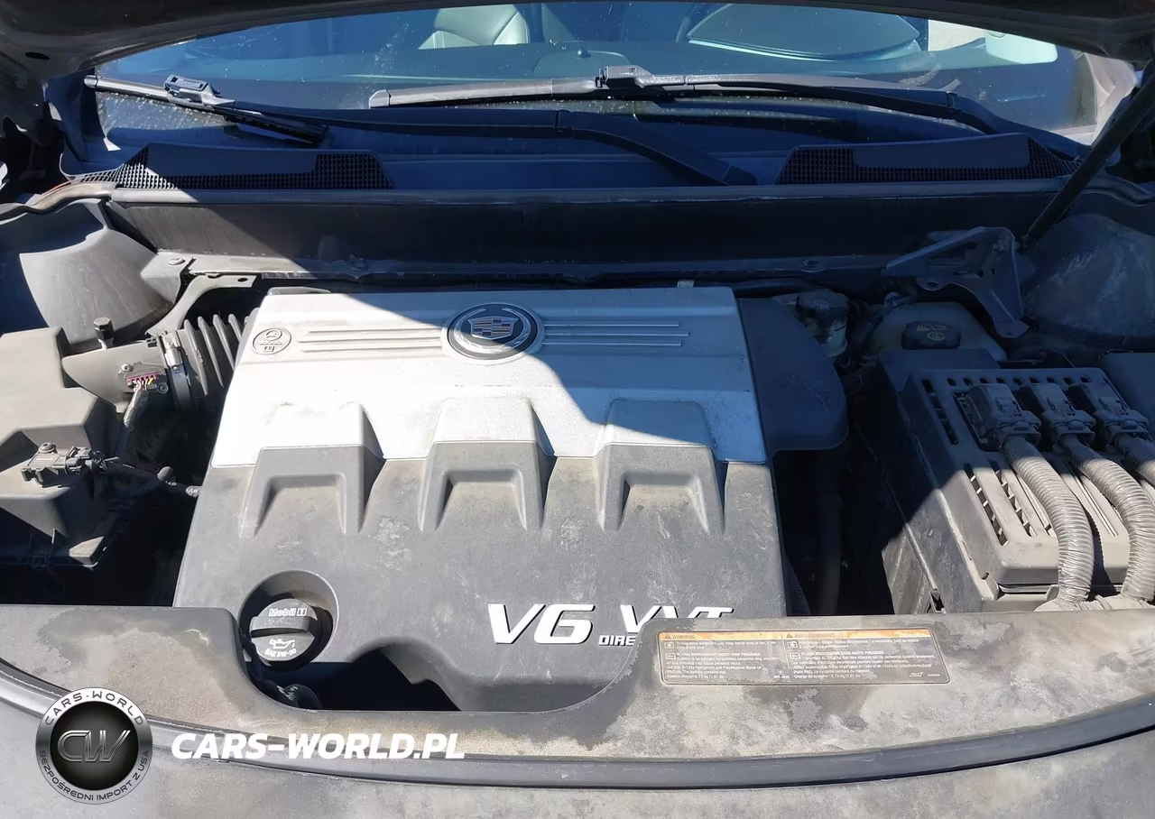2010 Cadillac Srx Performance Collection VIN:3GYFNBEY4AS626063 - 10