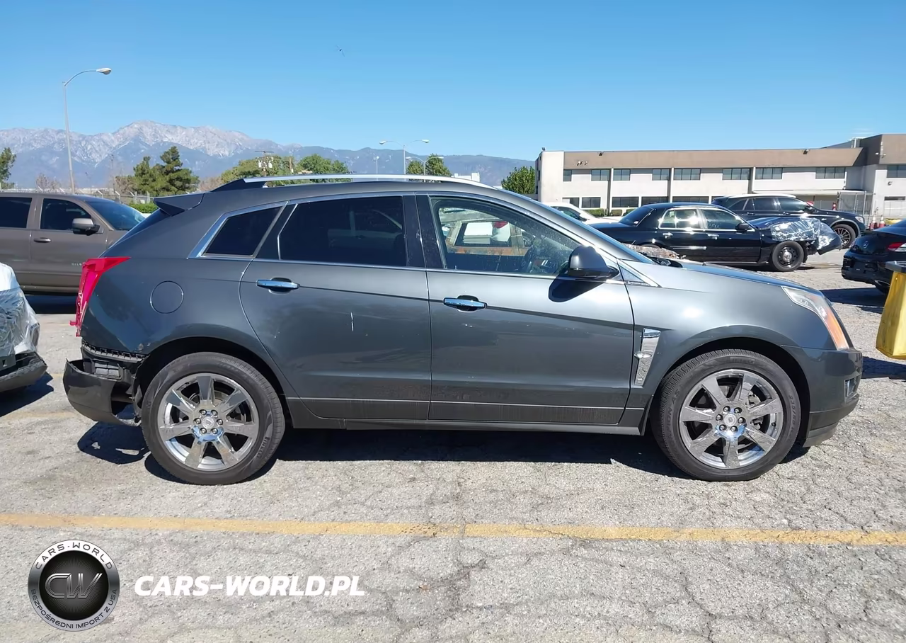 2010 Cadillac Srx Performance Collection VIN:3GYFNBEY4AS626063 - 13