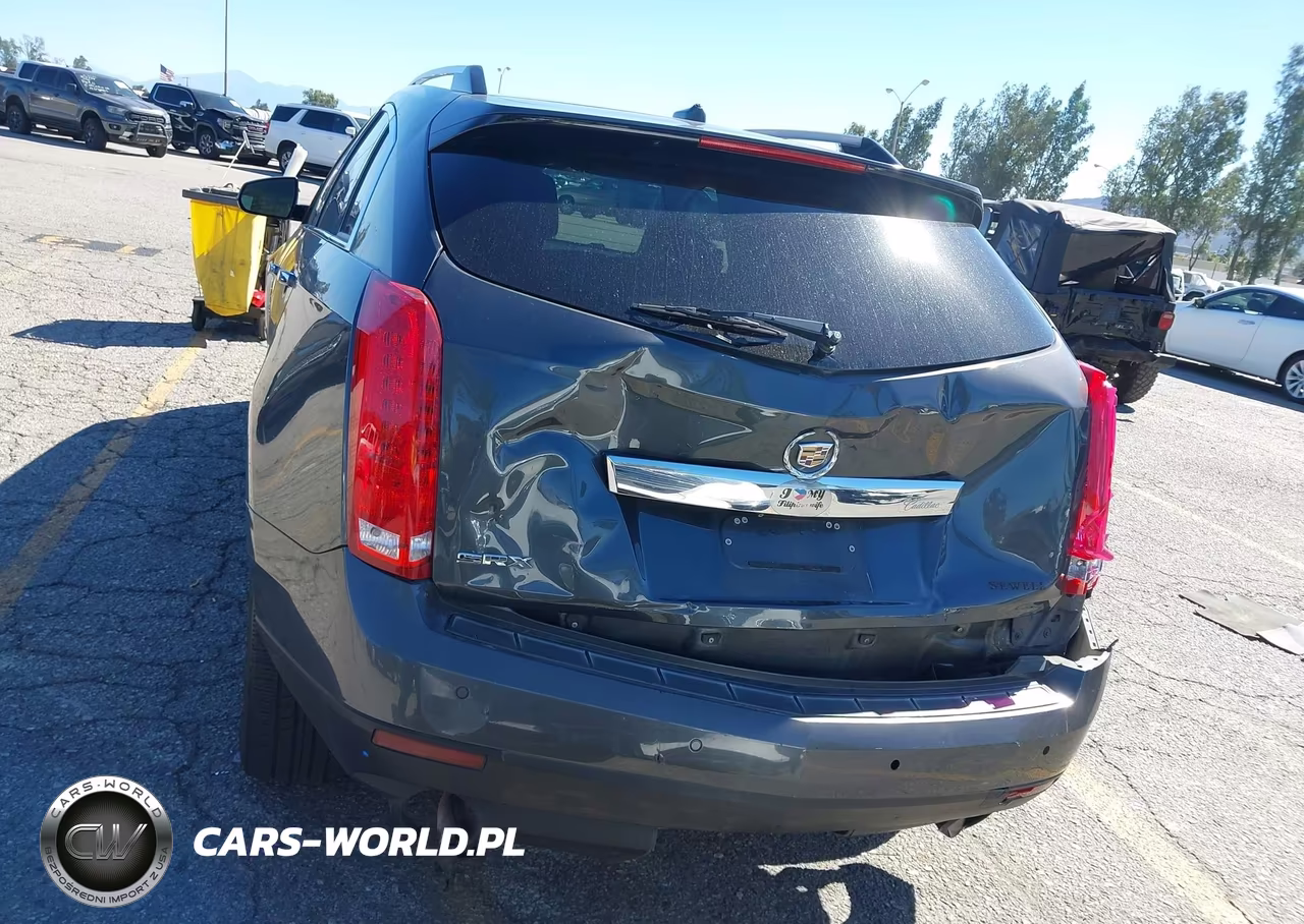 2010 Cadillac Srx Performance Collection VIN:3GYFNBEY4AS626063 - 16