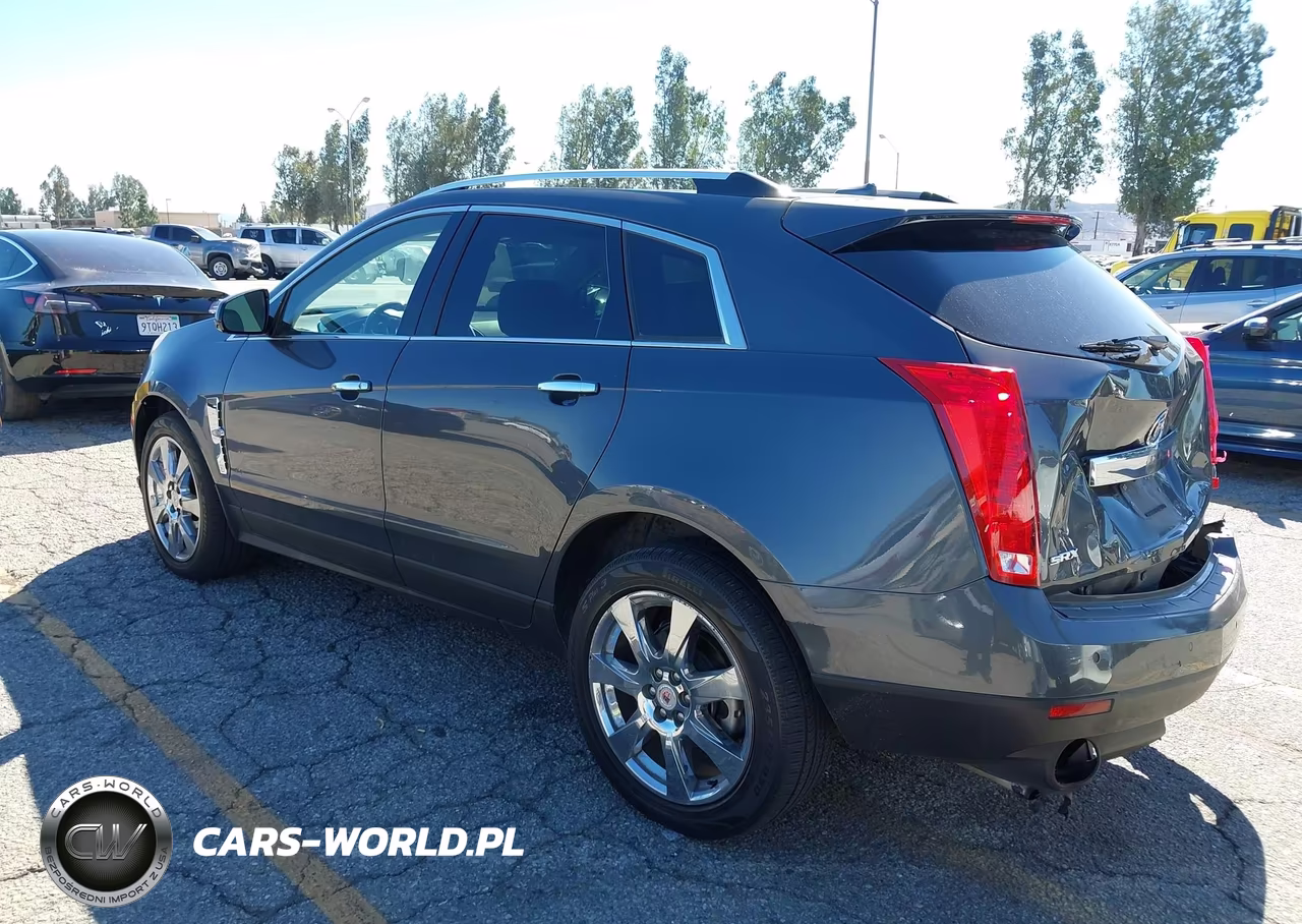 2010 Cadillac Srx Performance Collection VIN:3GYFNBEY4AS626063 - 3