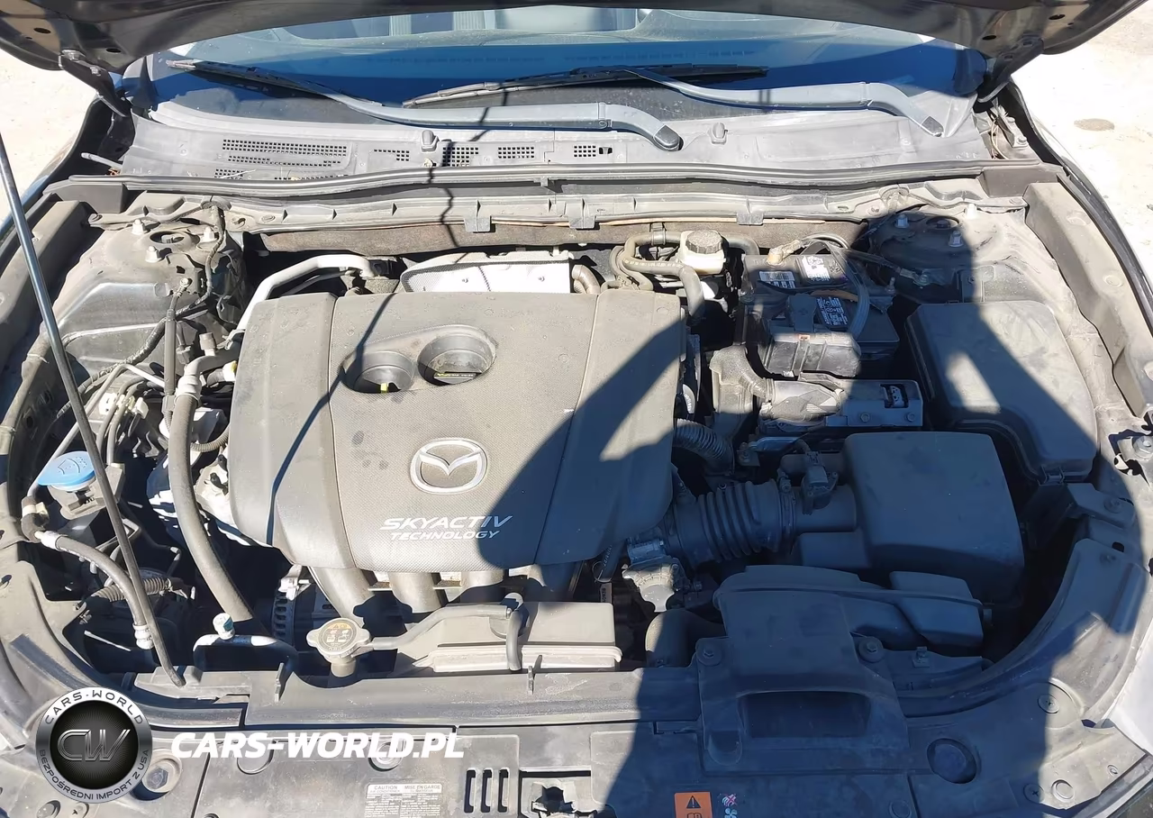2014 Mazda Mazda3 I Touring VIN:JM1BM1L76E1113951 - 10