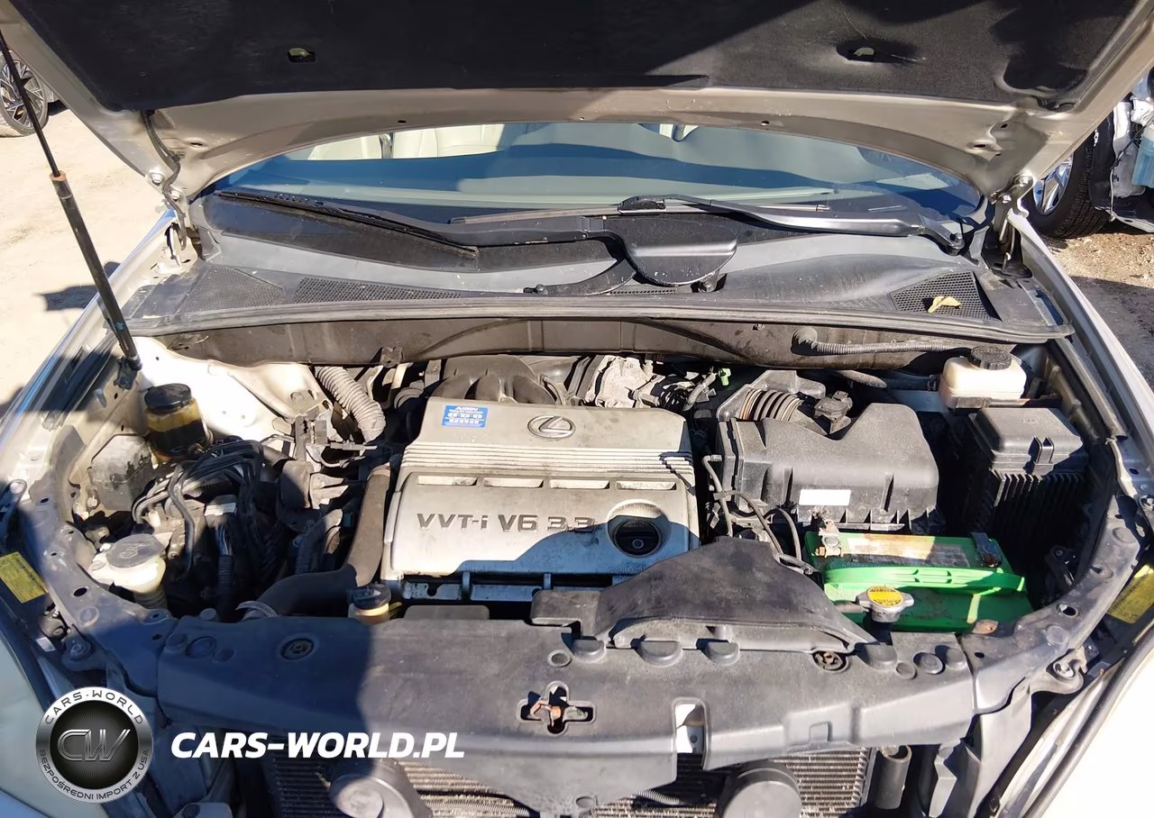 2006 Lexus Rx 330 VIN:2T2GA31U96C044510 - 10
