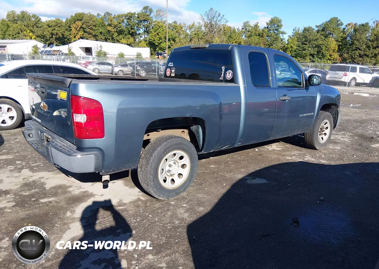 2008 Chevrolet Silverado 1500 Work Truck VIN:1GCEC19X88Z244585 - 4