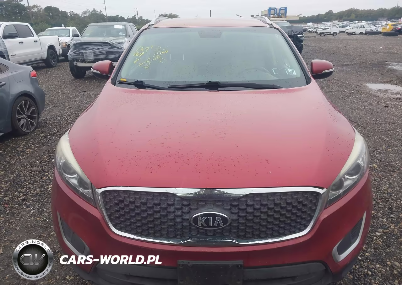 2017 Kia Sorento 3.3L Lx VIN:5XYPGDA58HG187764 - 12