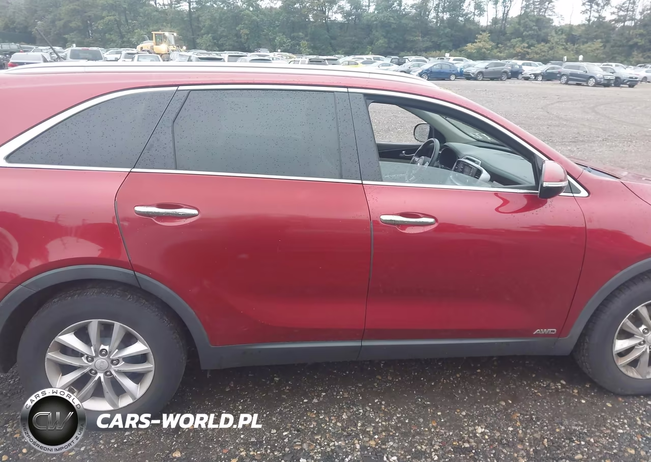 2017 Kia Sorento 3.3L Lx VIN:5XYPGDA58HG187764 - 13