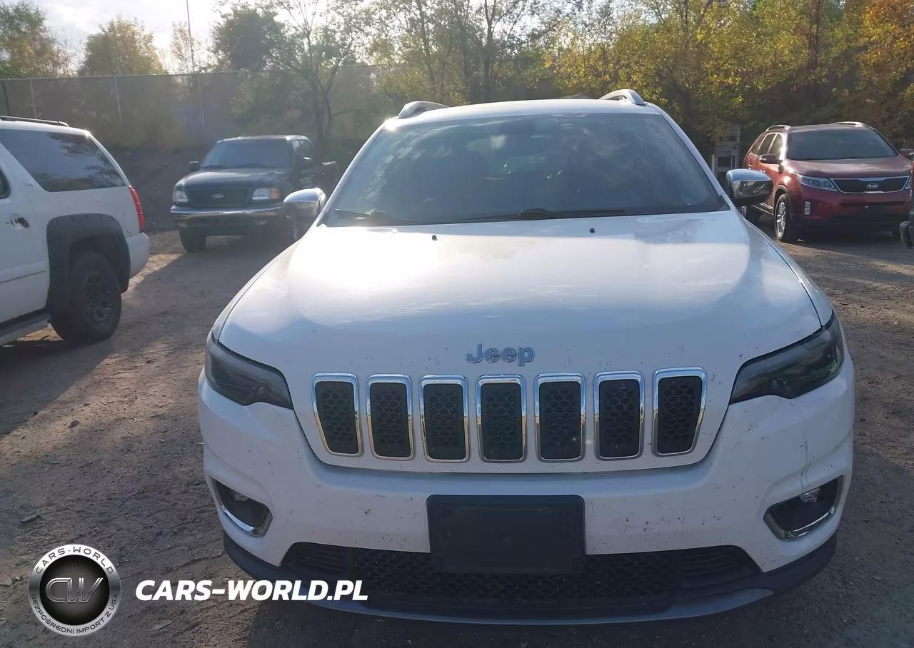 2019 Jeep Cherokee Limited 4X4 VIN:1C4PJMDN0KD201319 - 12
