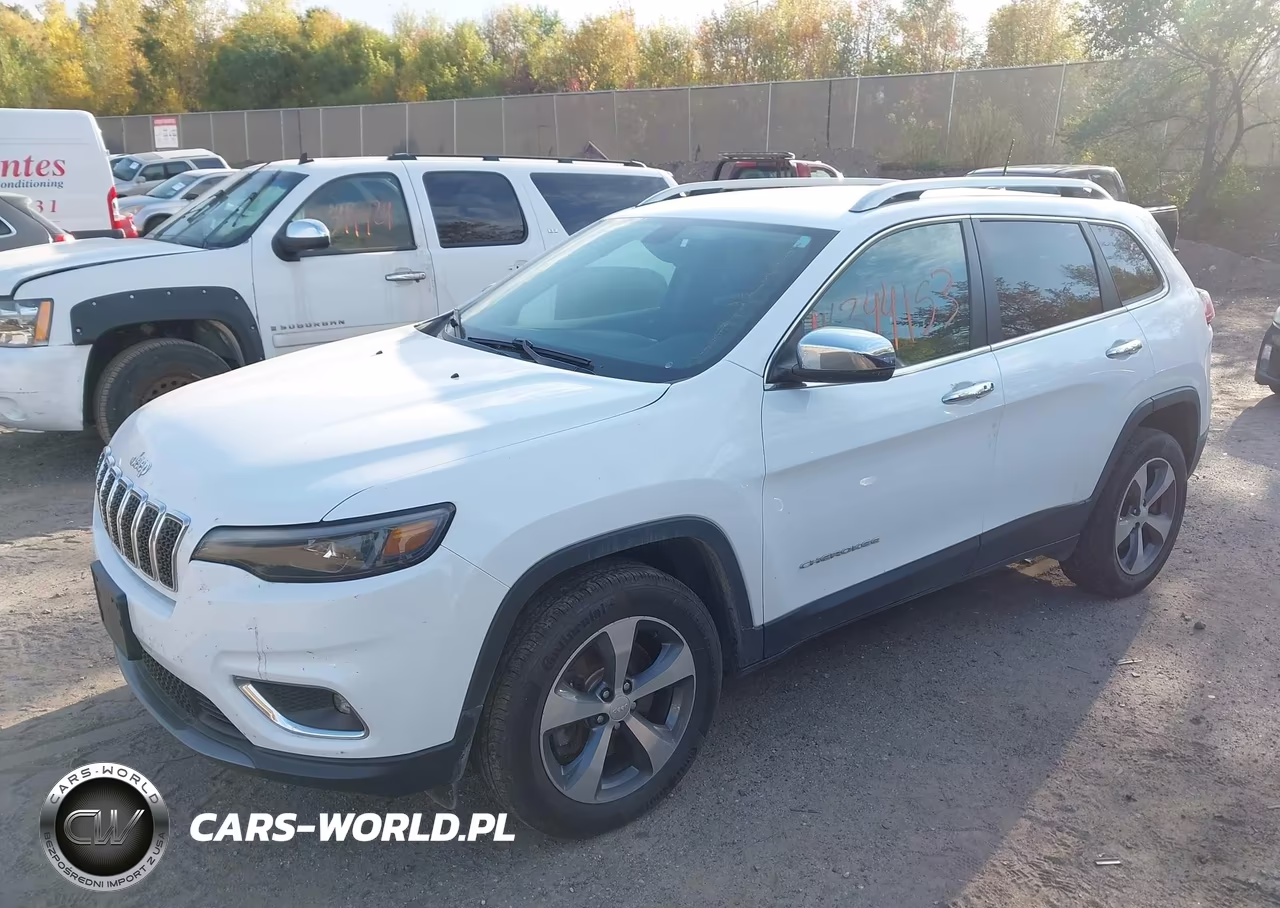 2019 Jeep Cherokee Limited 4X4 VIN:1C4PJMDN0KD201319 - 2