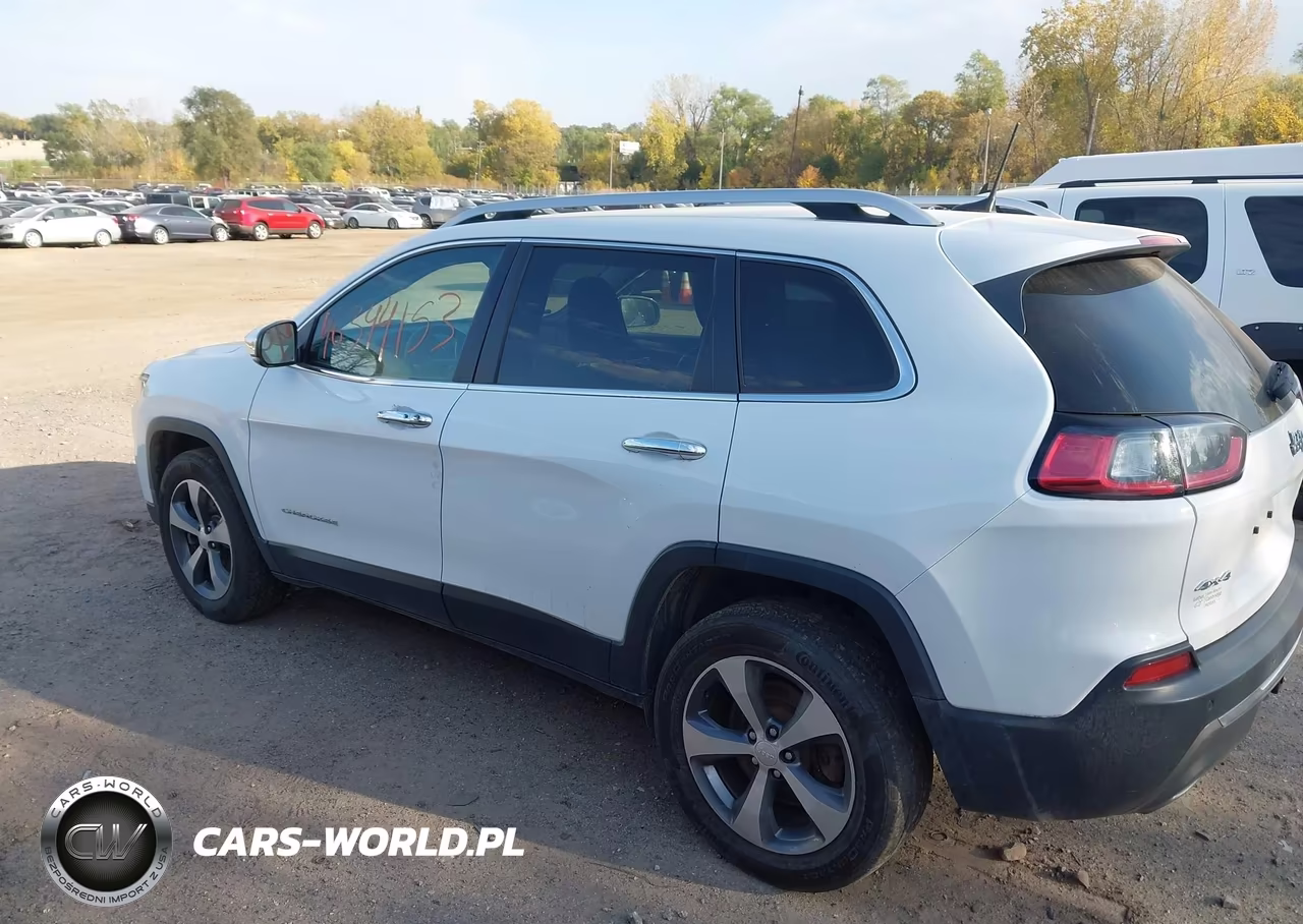 2019 Jeep Cherokee Limited 4X4 VIN:1C4PJMDN0KD201319 - 3