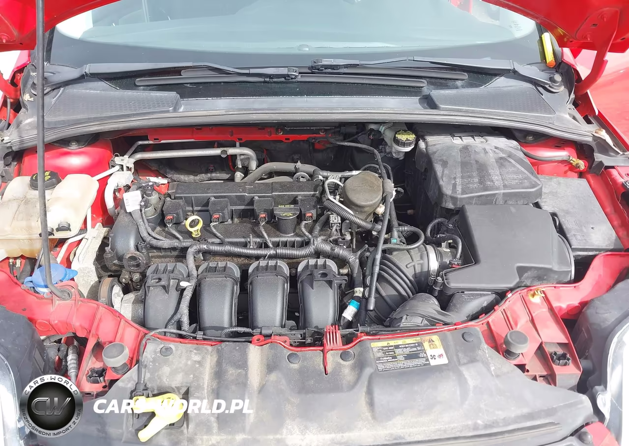 2014 Ford Focus Se VIN:1FADP3K28EL263393 - 10