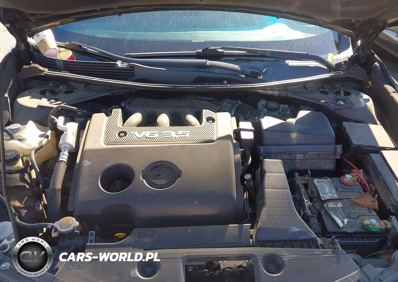 2013 Nissan Altima 3.5 Sl VIN:1N4BL3AP3DN527204 - 10