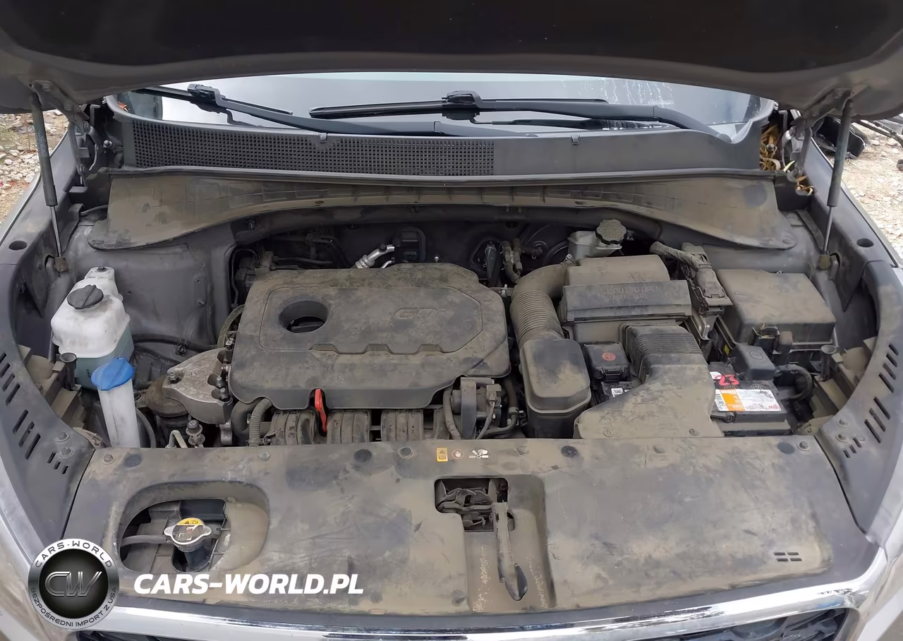 2019 Kia Sorento 2.4L Lx VIN:5XYPG4A37KG536838 - 10