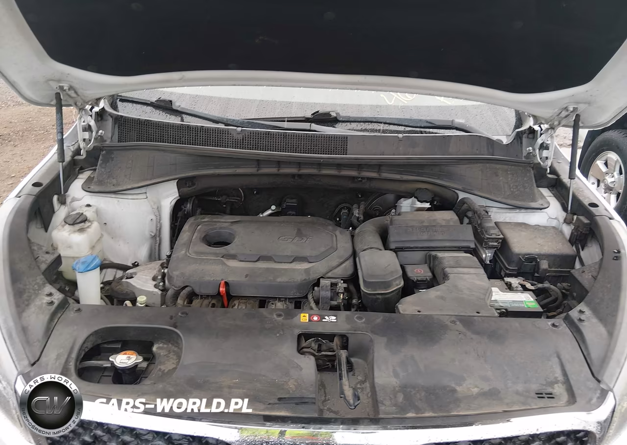 2017 Kia Sorento 2.4L Lx VIN:5XYPG4A30HG205141 - 10