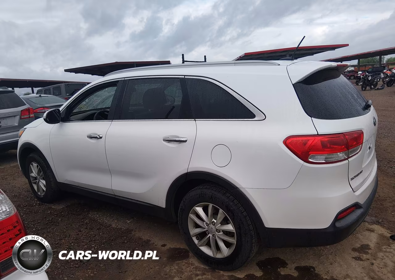 2017 Kia Sorento 2.4L Lx VIN:5XYPG4A30HG205141 - 13