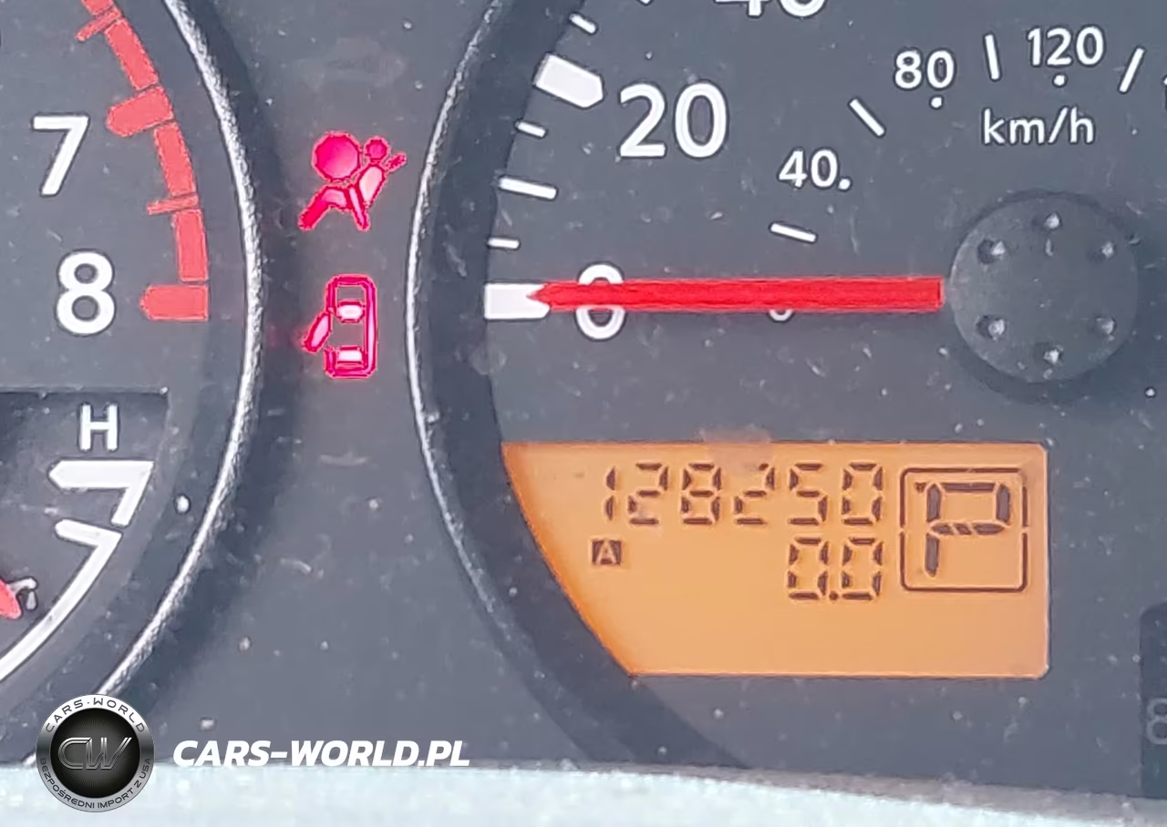2009 Nissan Frontier Se VIN:1N6AD09W79C424428 - 16