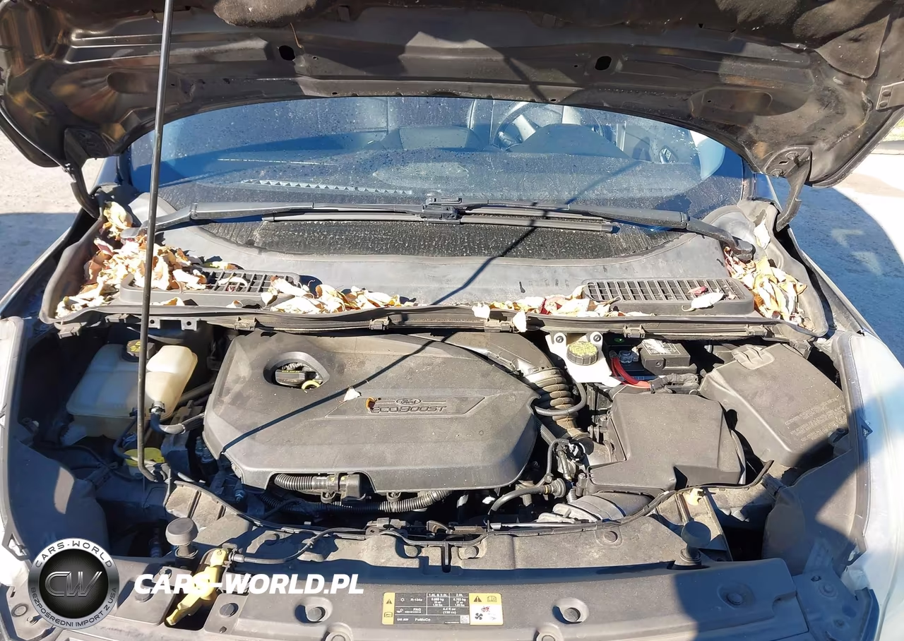 2014 Ford Escape Se VIN:1FMCU0GX0EUE40994 - 10