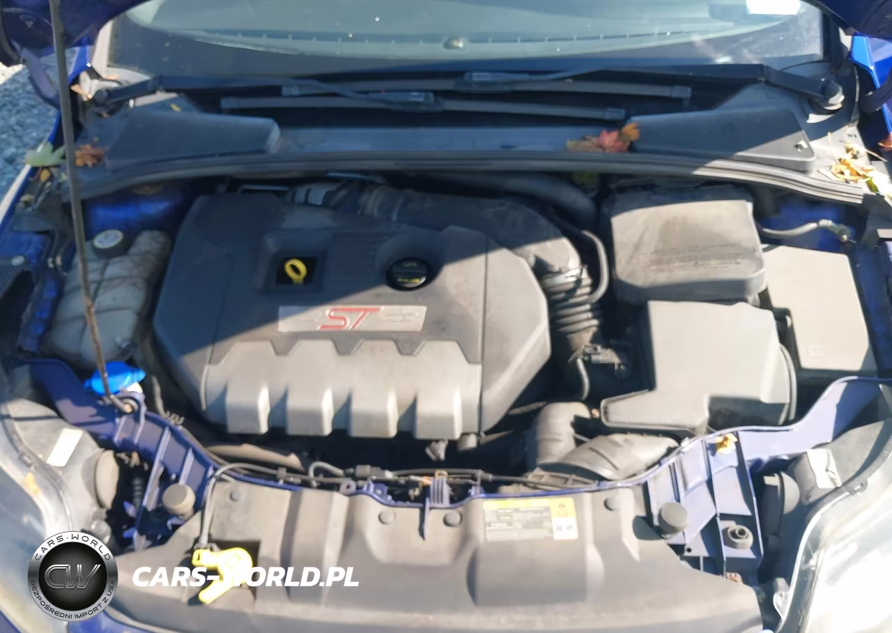 2013 Ford Focus St VIN:1FADP3L91DL178843 - 10