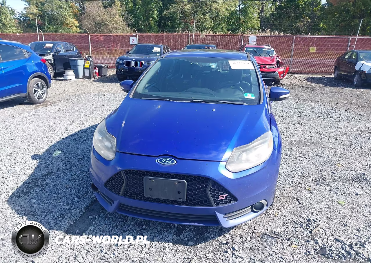 2013 Ford Focus St VIN:1FADP3L91DL178843 - 12