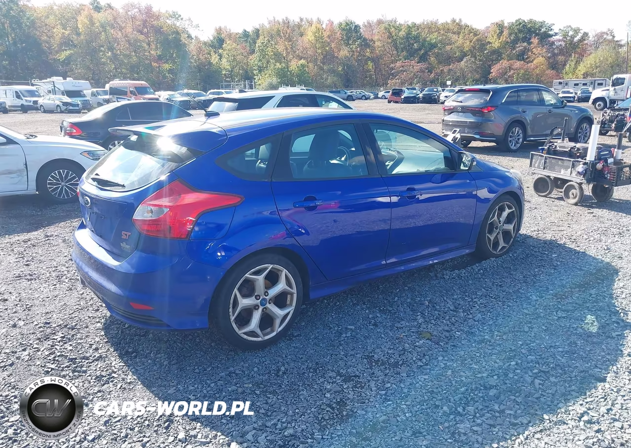 2013 Ford Focus St VIN:1FADP3L91DL178843 - 4