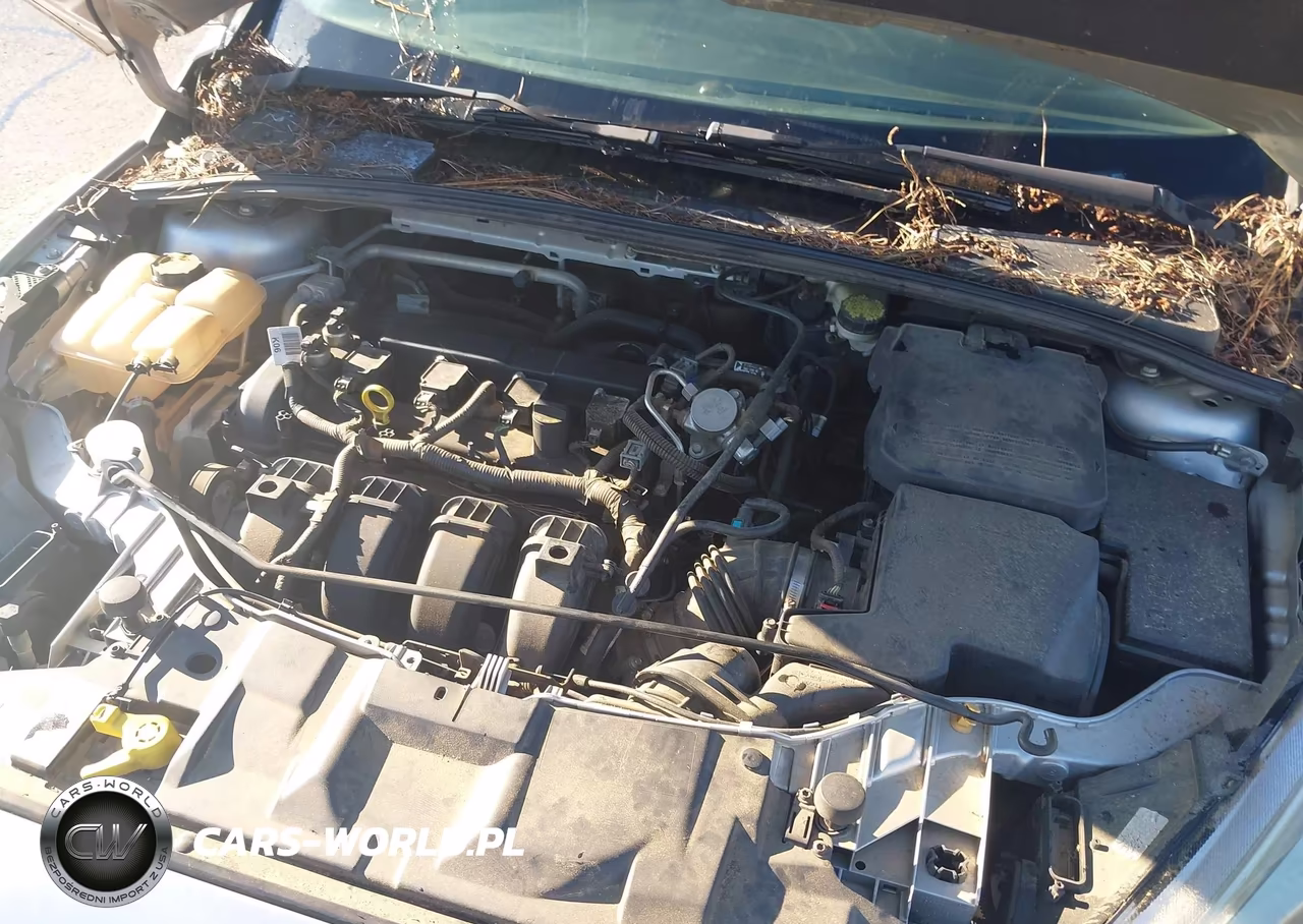 2016 Ford Focus Se VIN:1FADP3F28GL335299 - 10