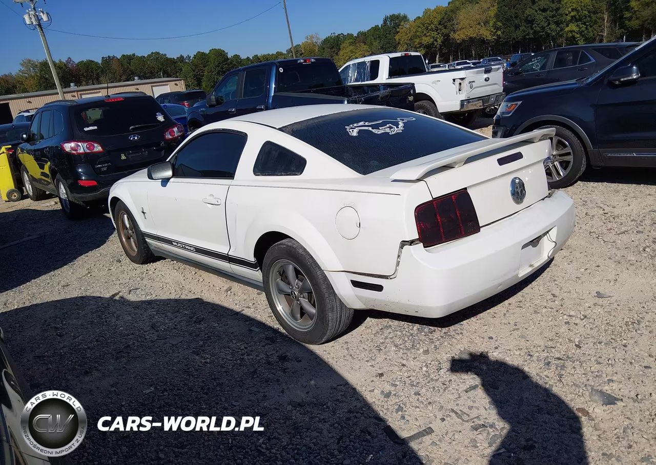 2006 Ford Mustang V6 VIN:1ZVFT80N565111776 - 3