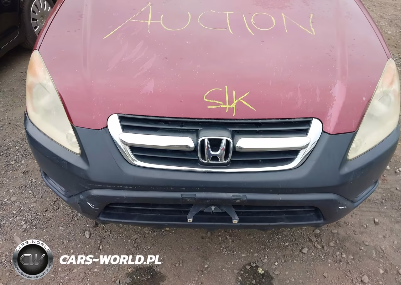 2004 Honda Cr-V Ex VIN:SHSRD78824U229648 - 10