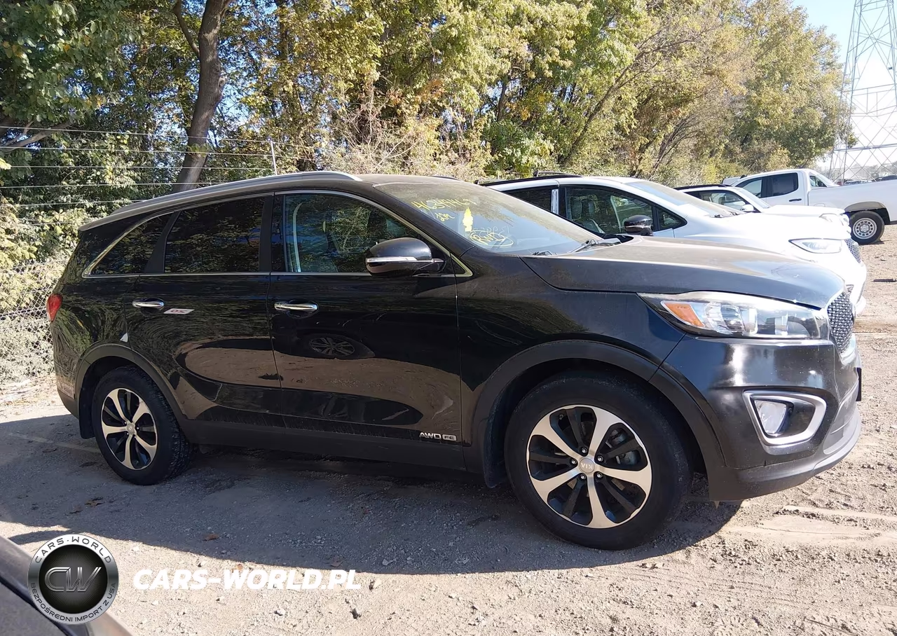 2016 Kia Sorento 3.3L Ex VIN:5XYPHDA58GG142044 - 13