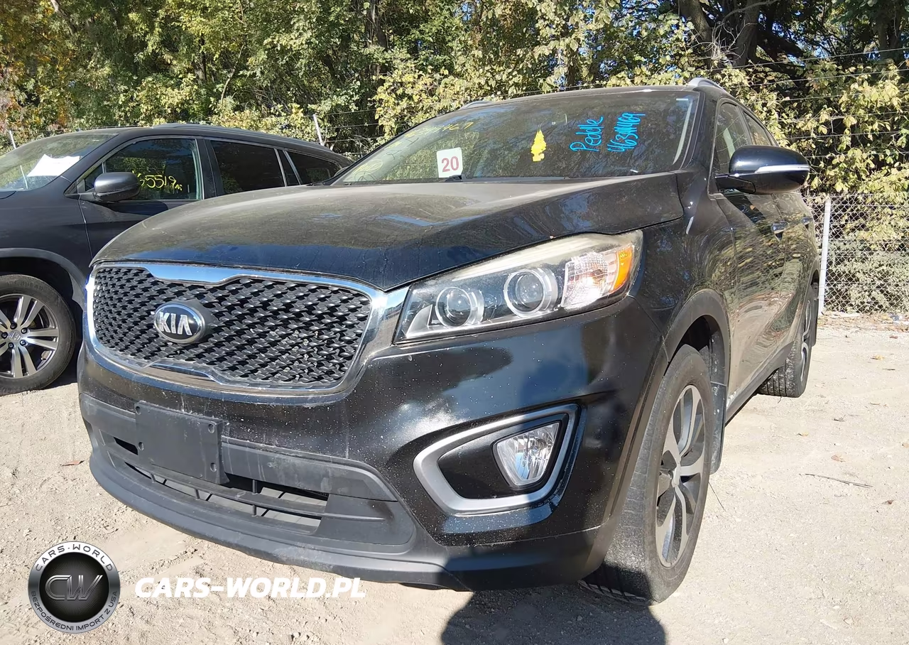 2016 Kia Sorento 3.3L Ex VIN:5XYPHDA58GG142044 - 2
